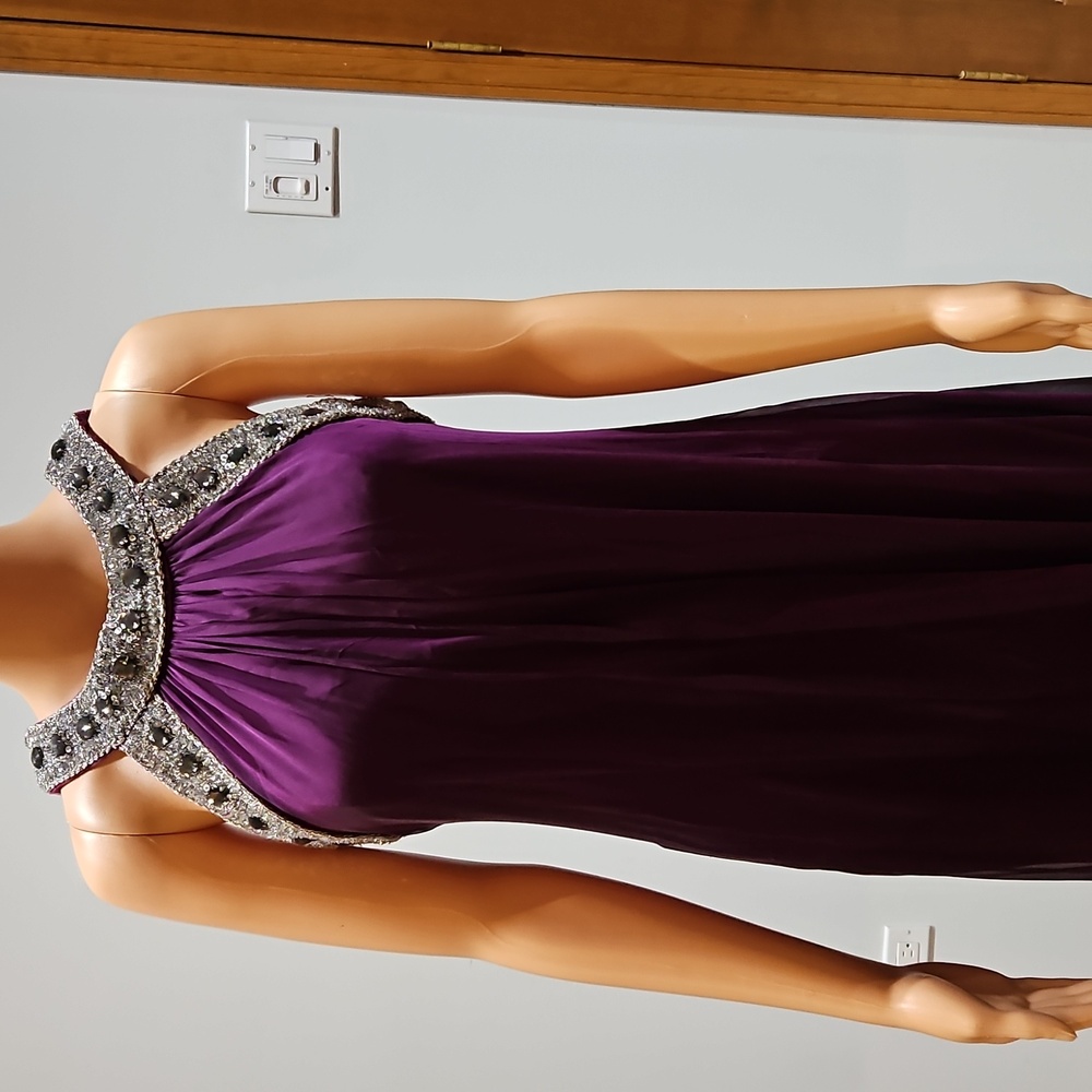 Badgley Mischka Dress